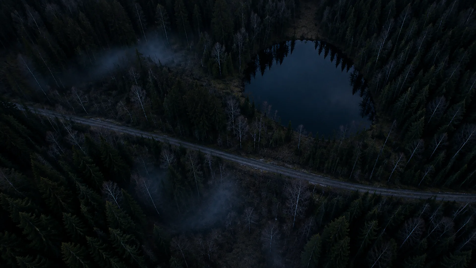 A forest lake and a gravel track at dusk, seen from above